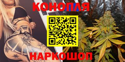 гидра Кудрово