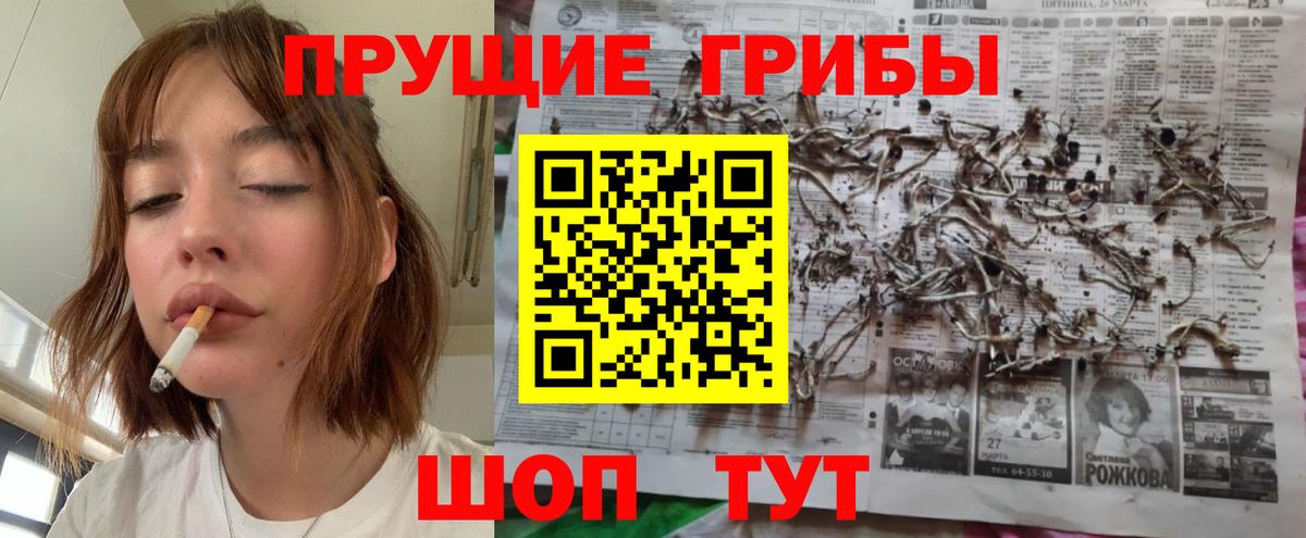 где можно купить наркотик  Псилоцибиновые грибы мицелий  Псилоцибиновые грибы прущие грибы  Вход с VPN  Когалым 